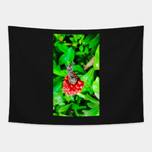 Red peppercorn with bird beak Tapestry