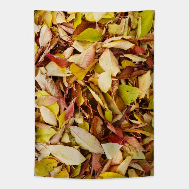 Autumn pattern Tapestry by Kate-P-