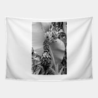 Tropical Plantation Maui Study 8 Tapestry