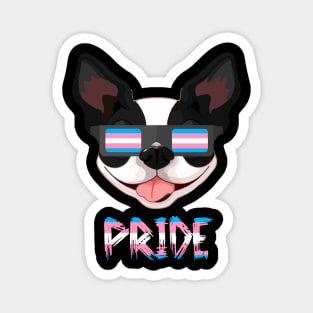 Boston Terriers Transgender Flag Lgbt Magnet