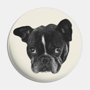 Boston Terrier Dog head Pin