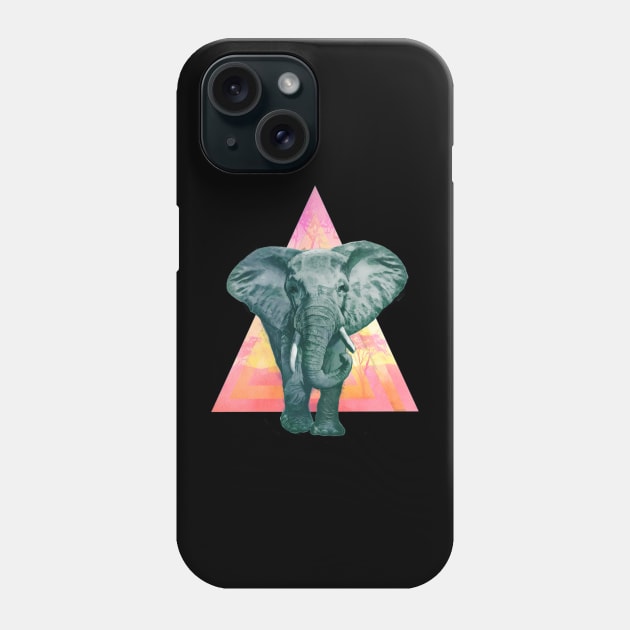 Colorful Elephant Phone Case by HillySeonard