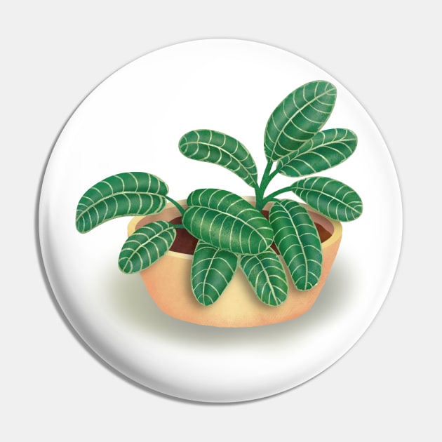 House Plant Potted Tropical Leaf Illustration Pin by ChloesNook