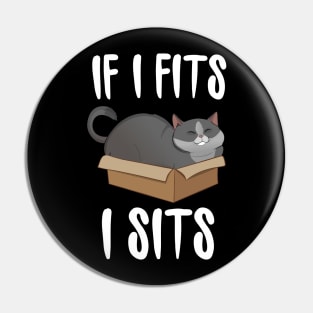 If I Fits I Sits (cat in a box) Pin