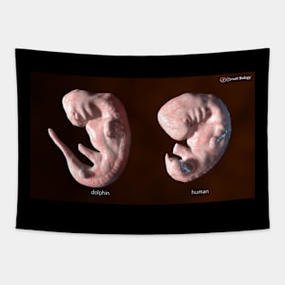 Embryos Tapestry