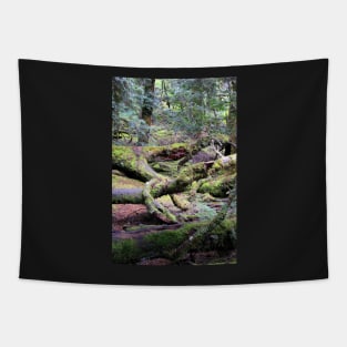 Enchanted Forest, Cradle Mountain, Tasmania, Australia Tapestry