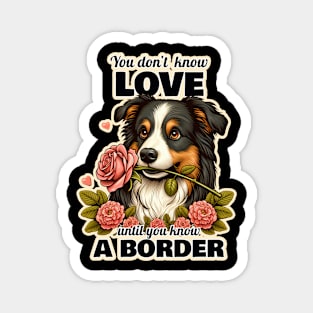 Border Collie Valentine's day Magnet