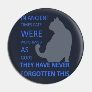 In Ancient Times Cats Were Worshipped As Gods v4 Pin