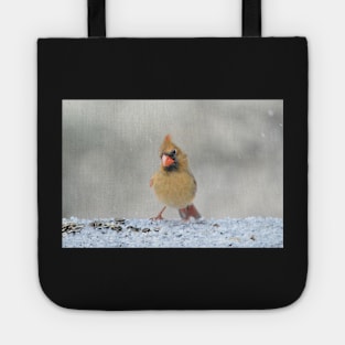 Curious Cardinal Tote