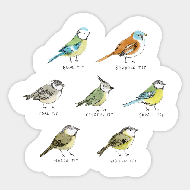 Bird Chart Uk