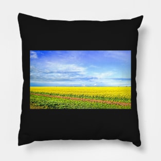 Canola Field Blooming photography Pillow