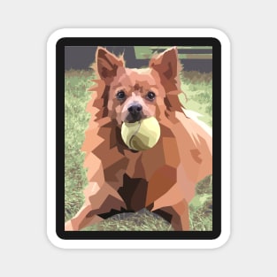 Pomeranian chihuahua Tennis Ball Dog Magnet