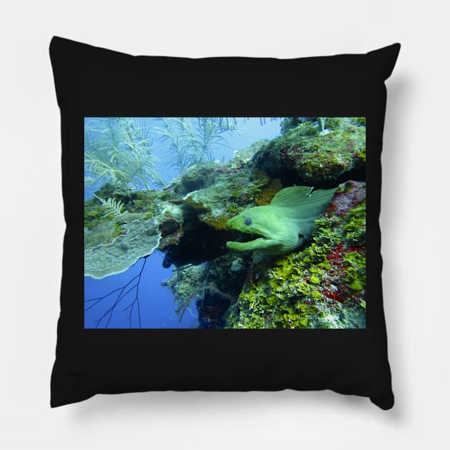 That's A Moray Pillow by jhuxster