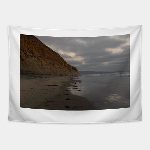 Torrey Pines Beach © Tapestry by PrinceJohn