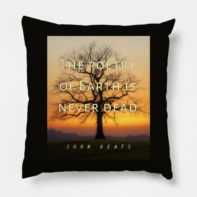 John Keats quote: The poetry of earth is never dead Pillow by artbleed