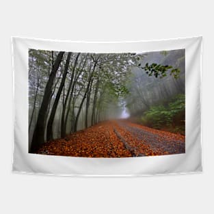 Mystic road on Pangeo mountain Tapestry