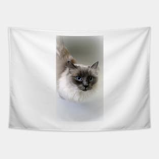 Ragdoll Lou Tapestry