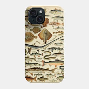 Fish Chart Phone Case