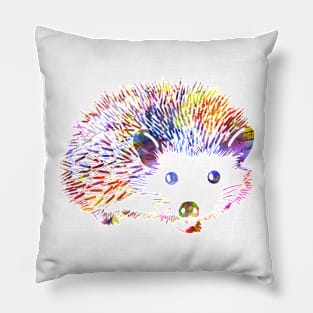 Colorful Hedgehog Lovers Design Pillow