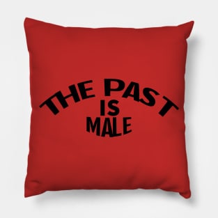 The Past is Male Pillow