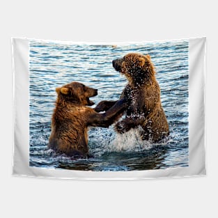 Young Kodiak Brown Bears Play Wrestle In Water Alaska Tapestry