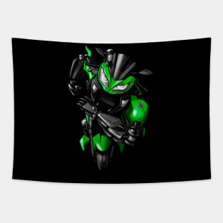 Kawasaki Ninja 300 Transformer Tapestry