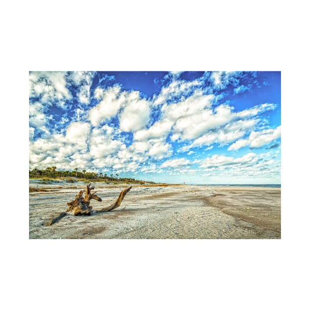 Amelia Island Dunes by Gestalt Imagery