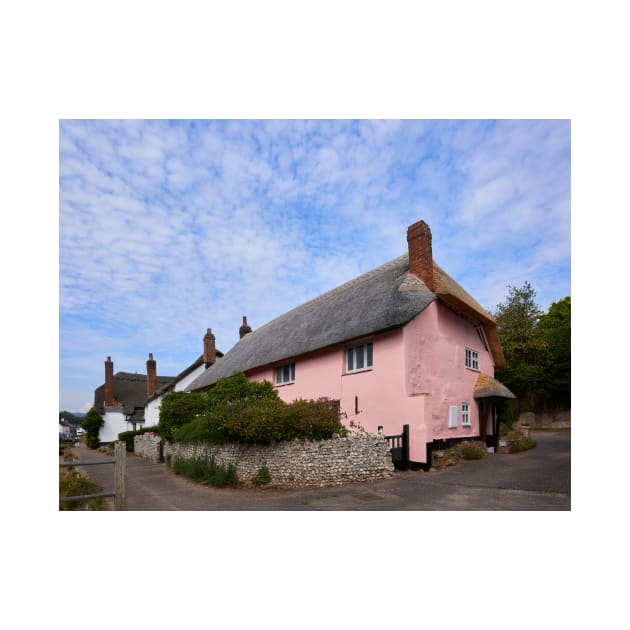 Thatched cottage at Otterton by GrahamPrentice