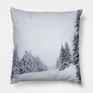 Winter landscape Pillow