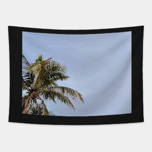 Palm tree and blue skies Tapestry