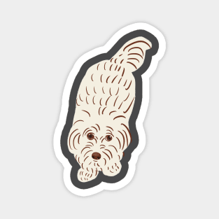 Maltipoo Cute Face Magnet