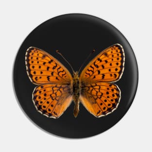 Special Black and Orange Butterfly | Entomology Lover Pin