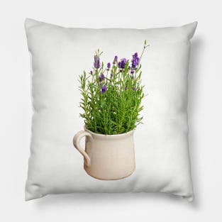 Lavender Plant in a Jug Photo Pillow