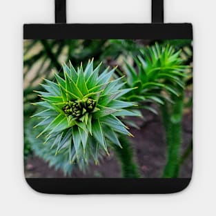 Monkey Puzzle Tree Branch Tote