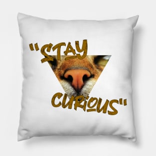 Stay curious Pillow