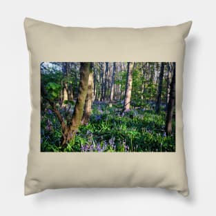 Dappled sunshine in Bluebell Woods Pillow