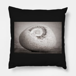 Fossil Pillow