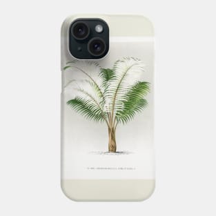 Andean wax palm vintage botanical art Phone Case