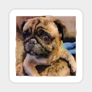 Pug Watercolor Magnet