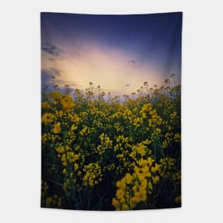 rapeseed in sunset light Tapestry