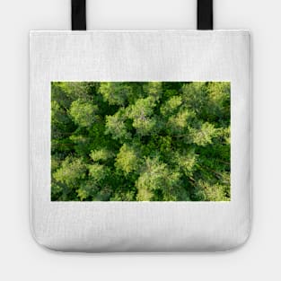 Aerial view of pine forest Tote