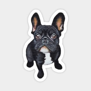 Dog French Bulldog Magnet