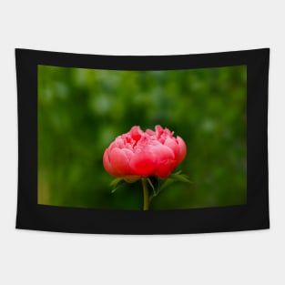 Peach peony flower Tapestry