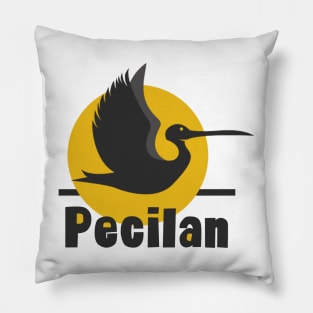 Pecilan Pillow