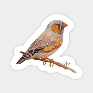 Zebra Finch Magnet