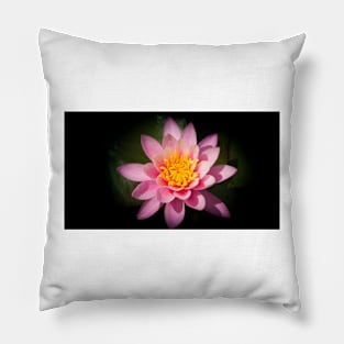 Pink lotus flower Pillow