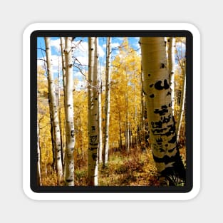 Fall in Colorado - Crested Butte Magnet