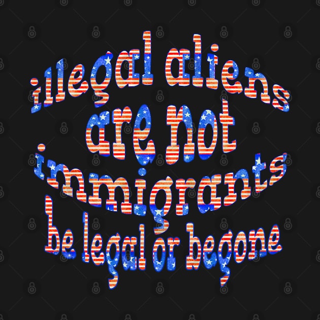 ILLEGAL ALIENS ARE NOT IMMIGRATS BE LEGAL OF BEGONE by Roly Poly Roundabout