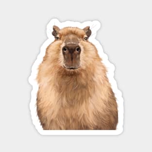 Chubby Capybara Magnet