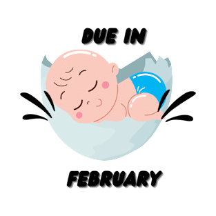Due in February Baby Gift T-Shirt
